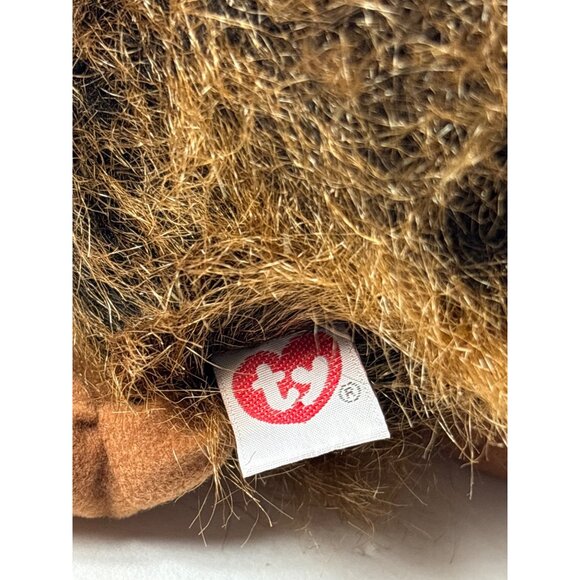 TY Beak Beanie Buddy Plush Kiwi Bird Stuffed Animal Toy 9 inches - Picture 7 of 8